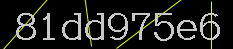 captcha codice